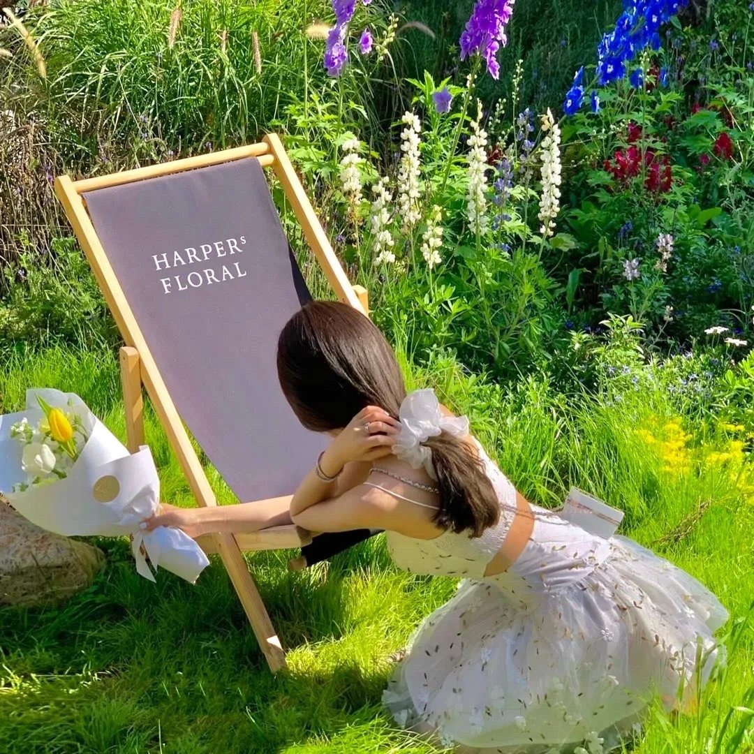 第四课时推理领域